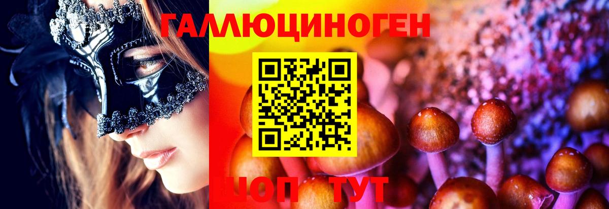 Улан-Удэ  Галлюциногенные грибы Psilocybine cubensis  где купить   Галлюциногенные грибы ЛСД  Вход с VPN 